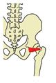 MB2-T08-011.jpg