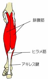 img40(3).jpg
