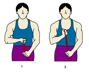 wrist-curl.JPG