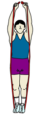 shoulder-press-3.jpg