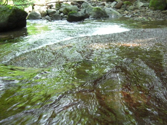 渓流.JPG