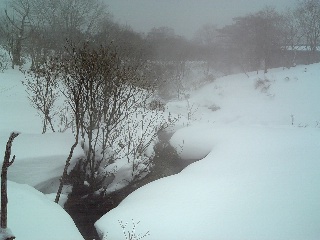 2008-01-29 23:58:46