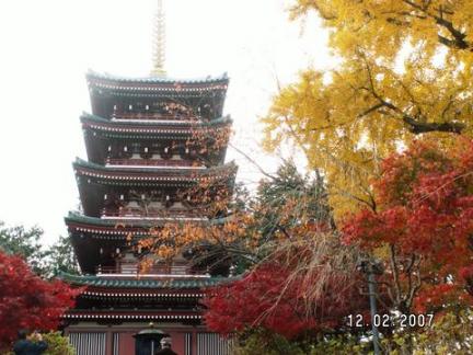 あじさい寺 本土寺の美しい紅葉 日々草 楽天ブログ