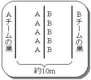 アクティビティ 動物あてゲーム ｌｏｈａｓな社会福祉士 楽天ブログ