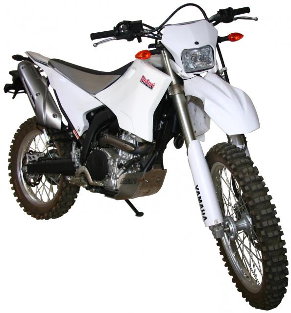 YAMAHA wr250 ビックタンク - タンク