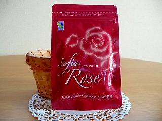 P1010287.jpg