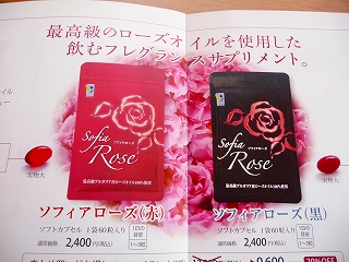 P1010293.jpg