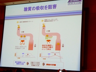 P1020660.jpg
