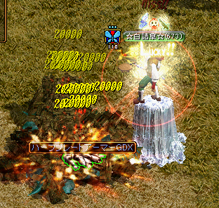 かめー.PNG
