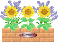 素材