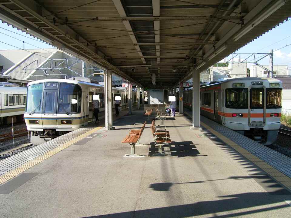 221系、313系.jpg