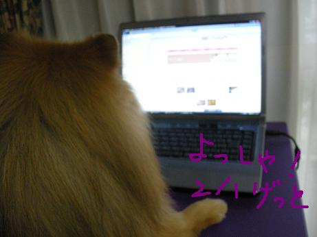 DSCN5969.JPG