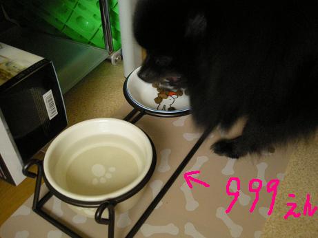 DSCN6281.JPG
