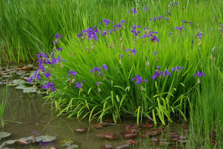 pict0001.jpg