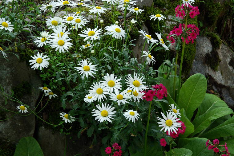 pict0006.jpg