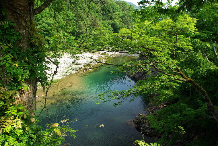 pict0007.jpg