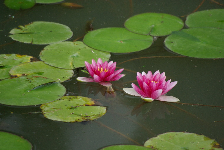 pict0008.jpg