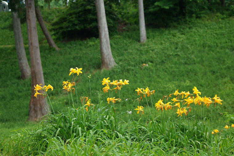 pict0009.jpg