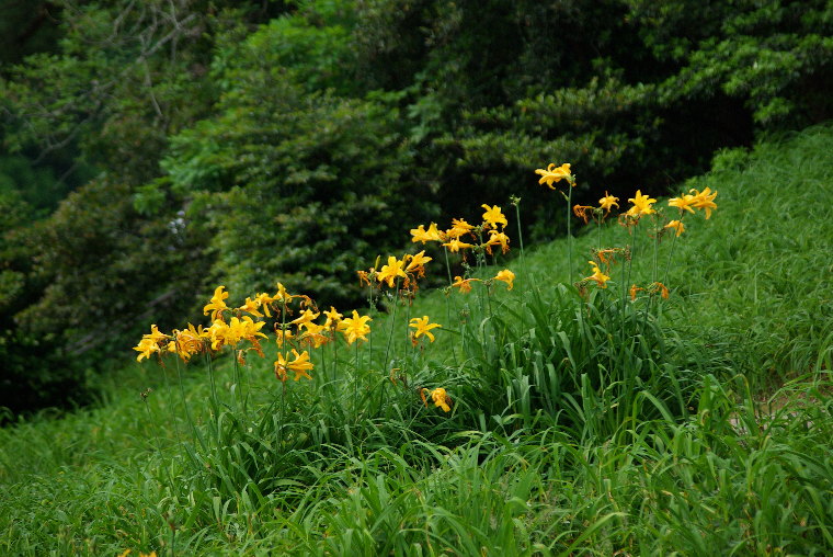 pict0010.jpg