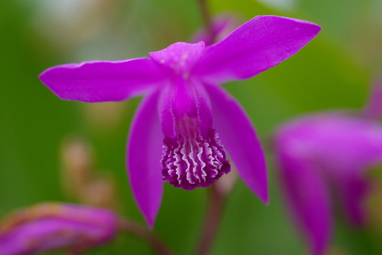pict0015.jpg