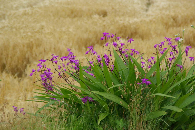 pict0005.jpg