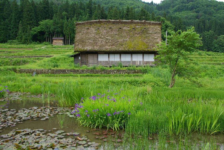 pict0002.jpg
