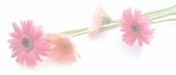 ﾟ･*:.｡.yellowtail.｡.:*･゜