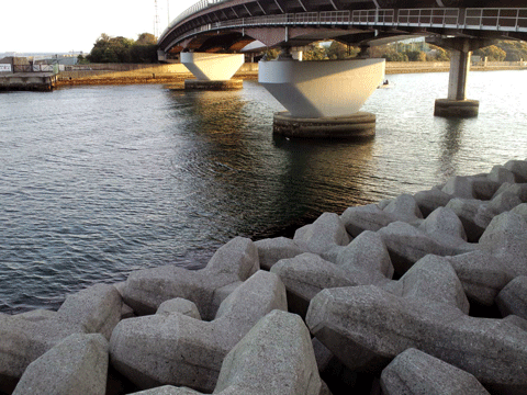 N浜大橋.gif