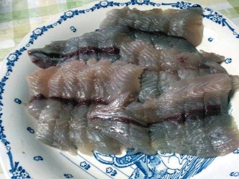 0926サゴシ刺身.gif