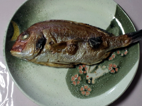 真鯛の塩焼き.gif