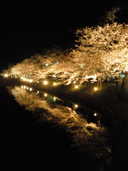 2010夜桜会１