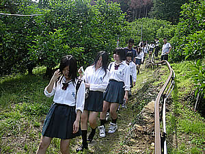 田舎　女子高 女子高生文旦畑を見学する？ | 「文旦屋・白木果樹園」楽天店・店長ブログ - 楽天ブログ
