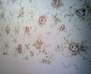 200710251643000.jpg