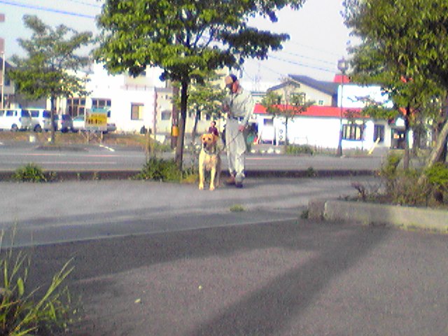 リックス芳男