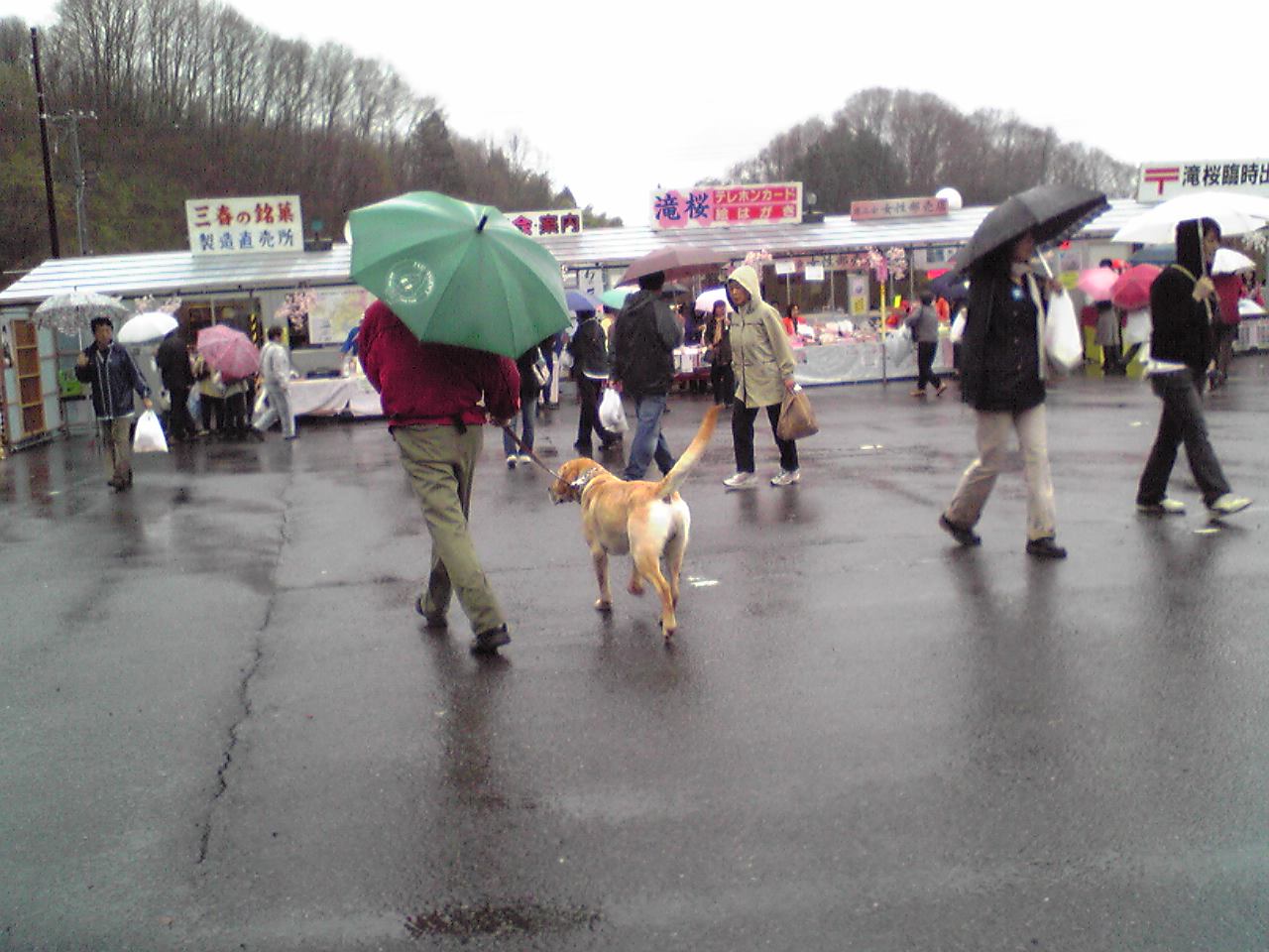 帰り道