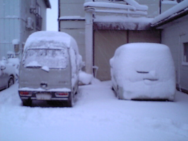 3/12の雪