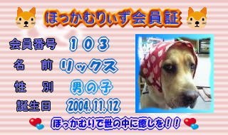 ほっかむりぃず会員証