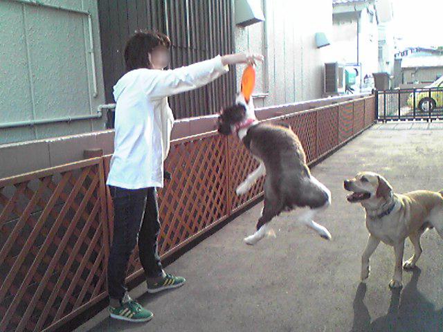 フィービー2