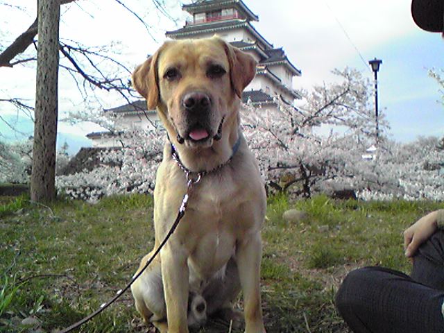 お城と僕2