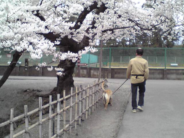 帰り道