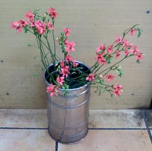 切花入荷しました 花屋今日も営業中 プリザ生花いろどり 楽天ブログ