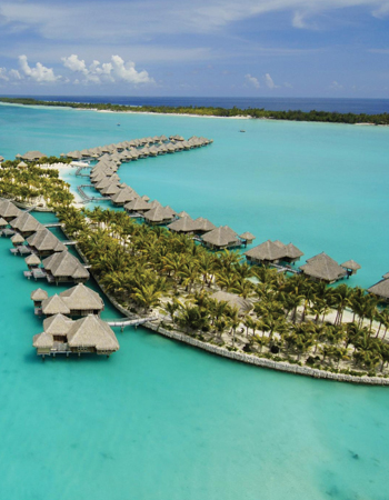 1st. Anniversary Special Event ~La cham blanc~ La Cham Blanc 楽天ブログ