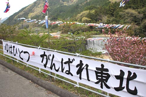 東温市山之内・こいのぼり02