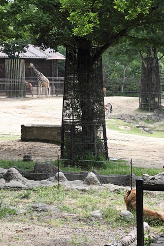 とべ動物園03-02