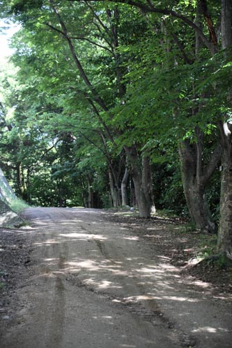 松山城登山道03