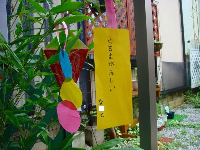 DSC01612.jpg
