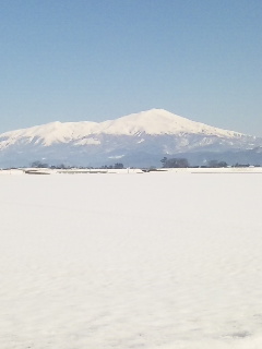 110222_101409.jpg