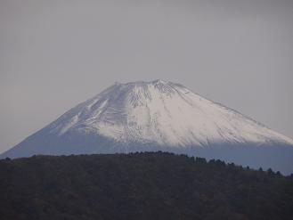 パレスホテル 箱根 美月はるかブログ 楽天ブログ