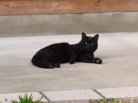 ひなたぼっこ