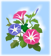 50610a200.gif